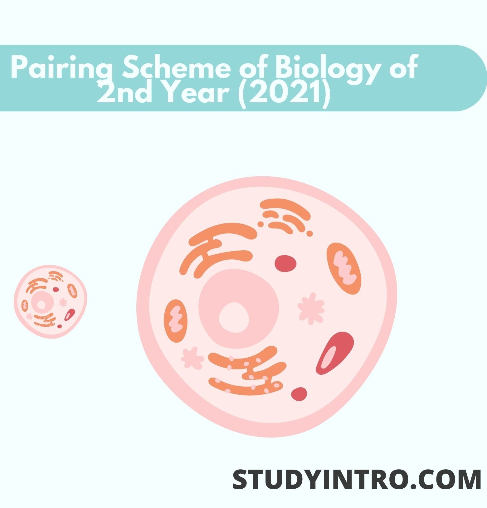 Pairing Scheme of Biology