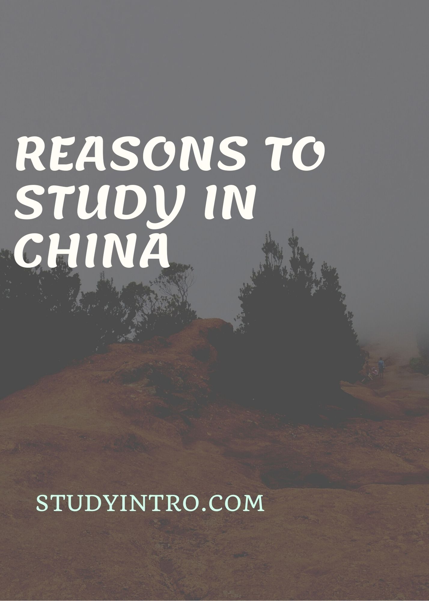 Reasons to Study in China