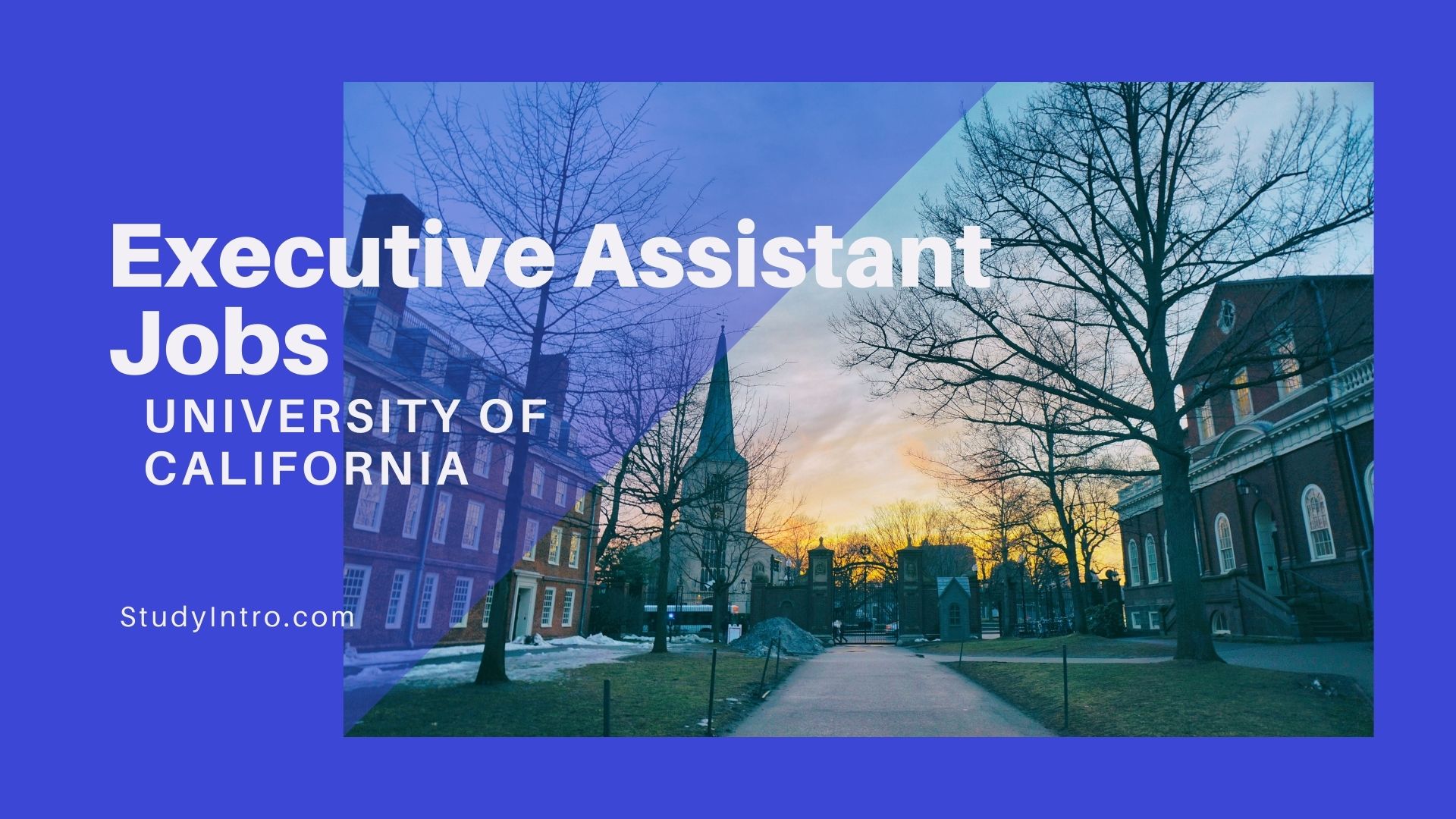 Executive Assistant Job in University of California, Berkeley