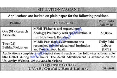 Govt Jobs in University of Veterinary and Animal Sciences (UVAS Jobs)2021