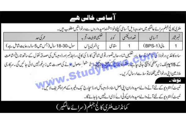 Mali Jobs in Military College Jhelum 2021